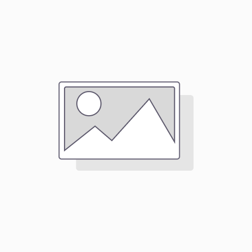 Odoo 19 Starter